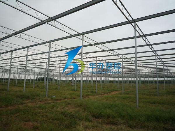 连云港东海县双店镇温室大棚色多多官网下载阳光板