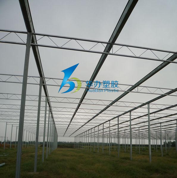 温室大棚色多多官网下载阳光板