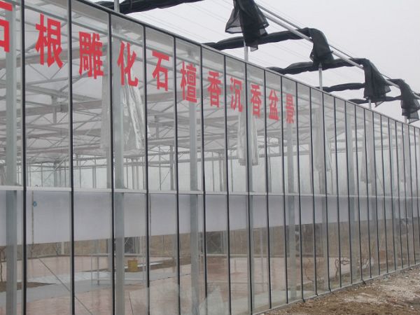 扬州盆景养殖温室大棚工程 色多多官网下载阳光板