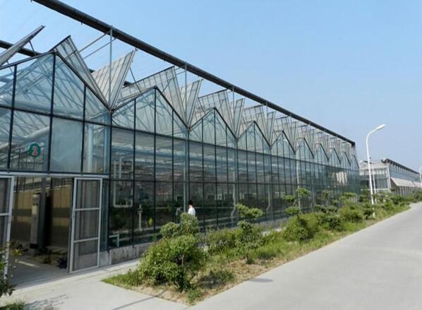 温室大棚为什么选择色多多官网下载阳光板