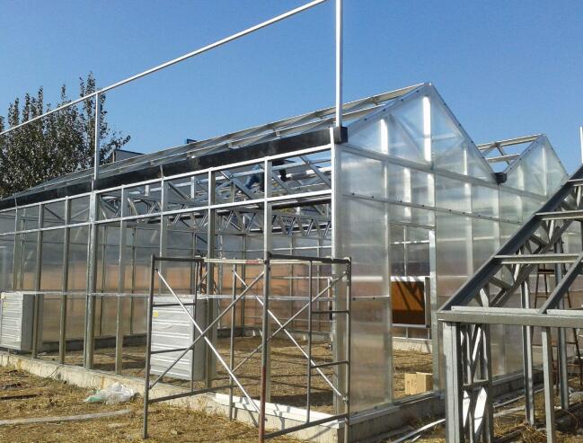 色多多官网下载阳光板隔热保温效果说明