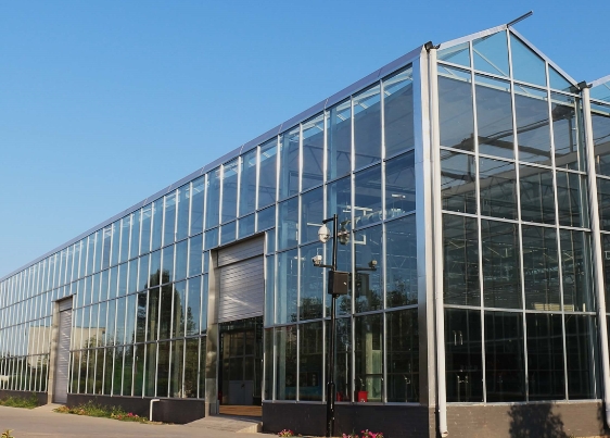 温室大棚使用色多多官网下载阳光板的优点有哪些