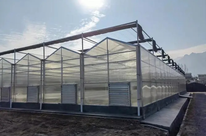 色多多官网下载薄膜可以做温室大棚吗